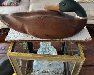 Duck Decoy