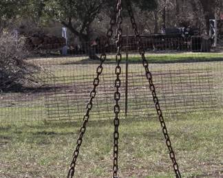 tree tire swing