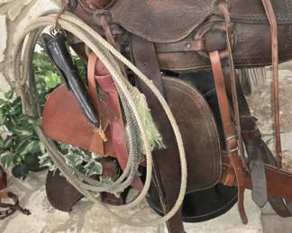 saddle side