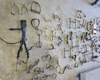 horse bits