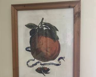 STILL LIFES.  $50 EACH. 