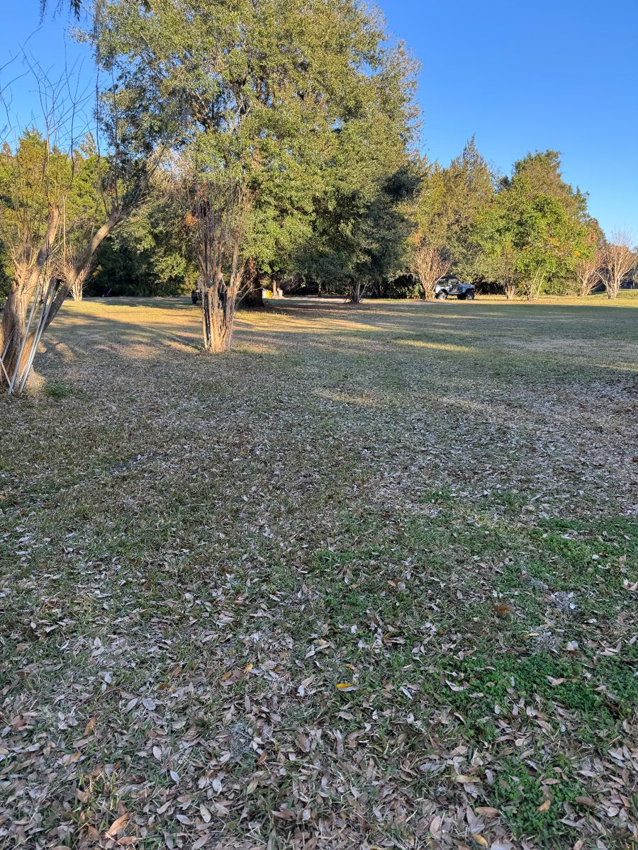 PARKING AVAILABLE FOR SALE. LARGE PASTURE.