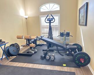 Rogure weight bench