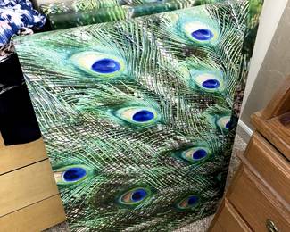 peacock canvas (set of 3)