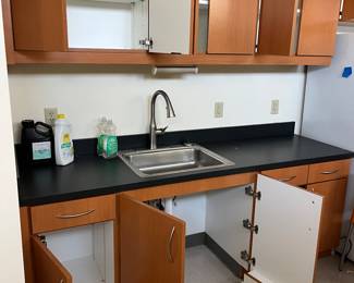 counter top with sink