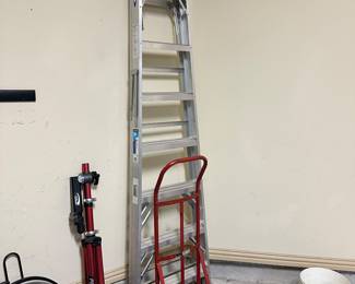 Ladder, Dolly