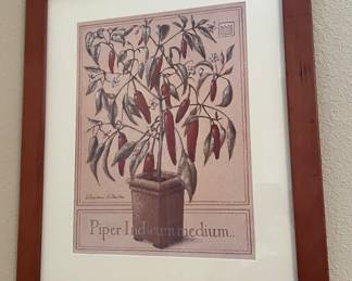 Lithograph Pepper Tree