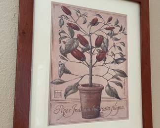 Lithograph Pepper Tree