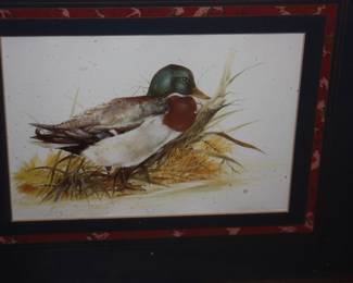 1 of 2 matted/framed pictures mallard duck