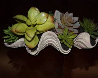 Sea shell planter w/plants in it