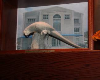 Parrot in display case  decorative