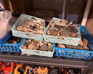 Rocks and shells