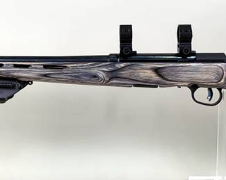 Savage A17 .17 HMR Rifle SN# N643473, Scope Rings, Bipod, 2 Total Mags, In Hard Case 