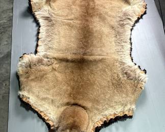 Cougar/Puma Skin Wall Hanging With Faux Leather And Felt Backing, Rings On Back Of Head, Legs, And Tail, Approx 92" x 72"