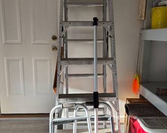 LADDER AND WALKER