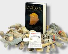 The Fossil Book: A Record of Prehistoric Life Book 1958 By Carroll Lane Fenton and Mildred Adams Fenton w/Dust Cover and Assorted Fossil Lot
