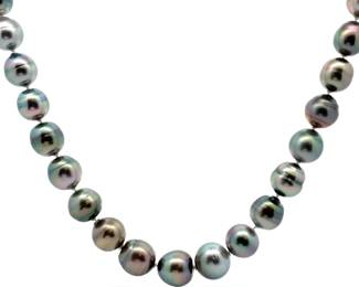 Peacock Tahitian Cultured Pearl Single Strand Necklace