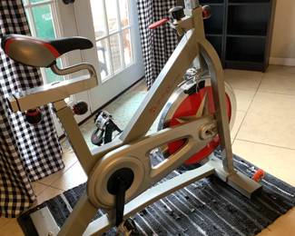 Sunny Exercise Bike