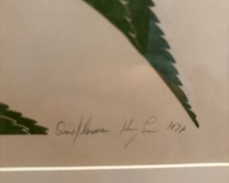 Nancy Nemec Sunflower 1976 signed 292/300.   