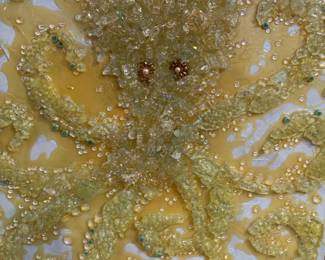 M Hong of Destin,FL wired glass.com
Sea glass octopus $600.00