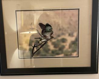 Allison Bell eagle photograph