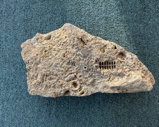 Fossil