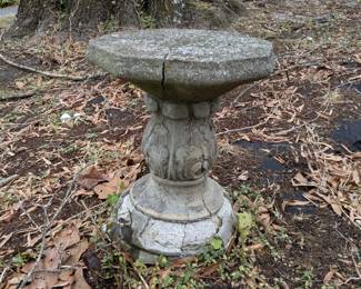 Bird Bath
