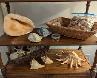 Seashells