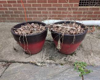 Planters