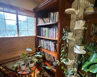 Book collection & bookshelves