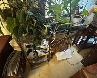 House plants