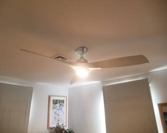 MinkaAire ceiling fan with remote
