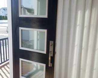 Mid-century modern entry door