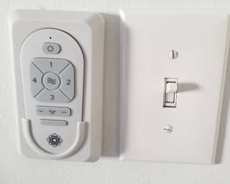 Lighted ceiling fan with remote