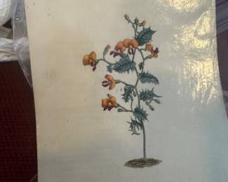 Originsa art