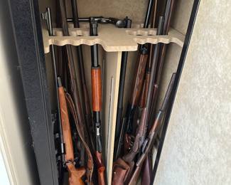 Many firearms