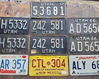 6009  10 License Plates 