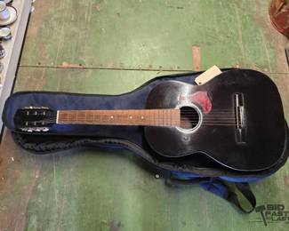 6060  Acoustic Guitar with Windsor Case 