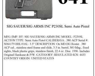 Sale Picture