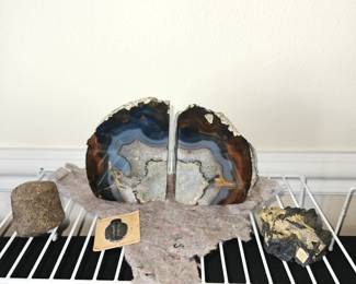 Brazilian Agate Bookends Rare Coloration, Trilobite 
