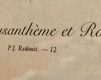 Géranium, Chrysanthème et Rose mousse P.J. Redouté. 12 Botanical Artwork