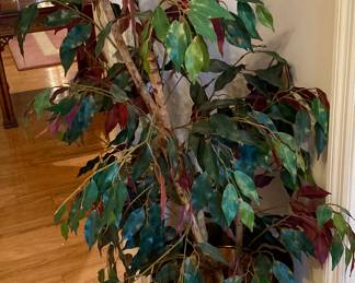 Indoor Tree in Brass Pot