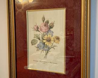 Géranium, Chrysanthème et Rose mousse P.J. Redouté. 12 Botanical Artwork