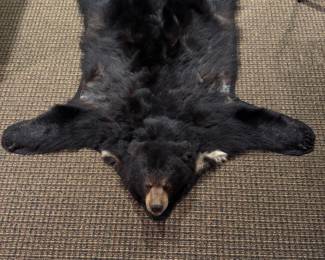 Black Bear Taxidermy Rug