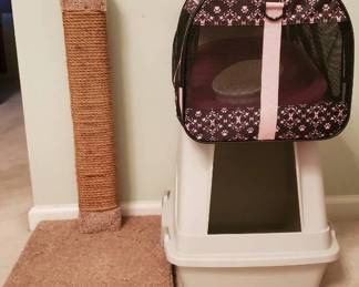 Cat Carrier, Box, and Scratching Post