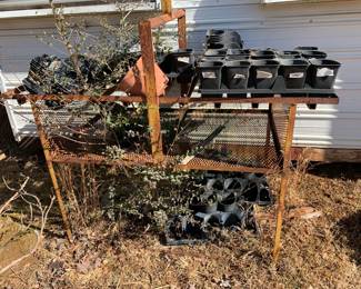 #219	Steel Rack 2 Shelf 59x30x36 	 $25.00 			

