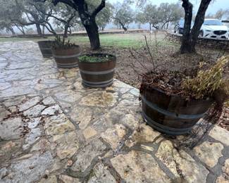 22Feb 11 2025 08 36pmXHrw