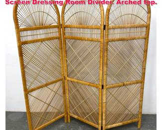 Lot 319 3 Panel Rattan Wicker Folding Screen Dressing Room Divider. Arched top.