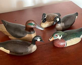 Duck decoy models