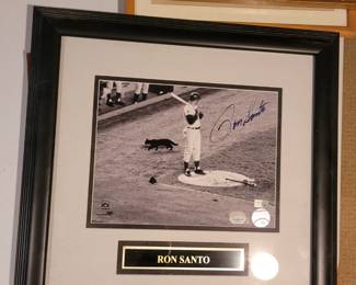 Ron Santo signed